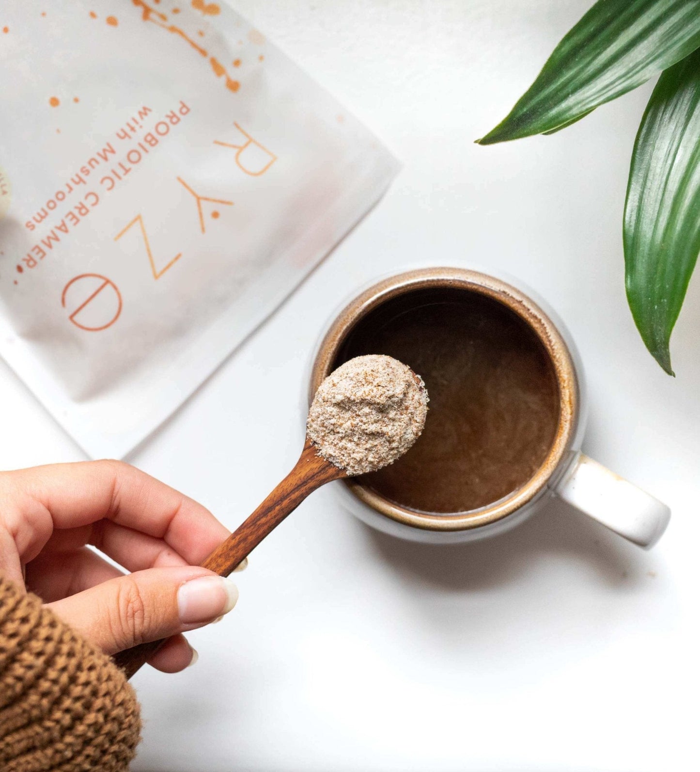 Try our Probiotic Creamer for 50% OFF! - 3NEW