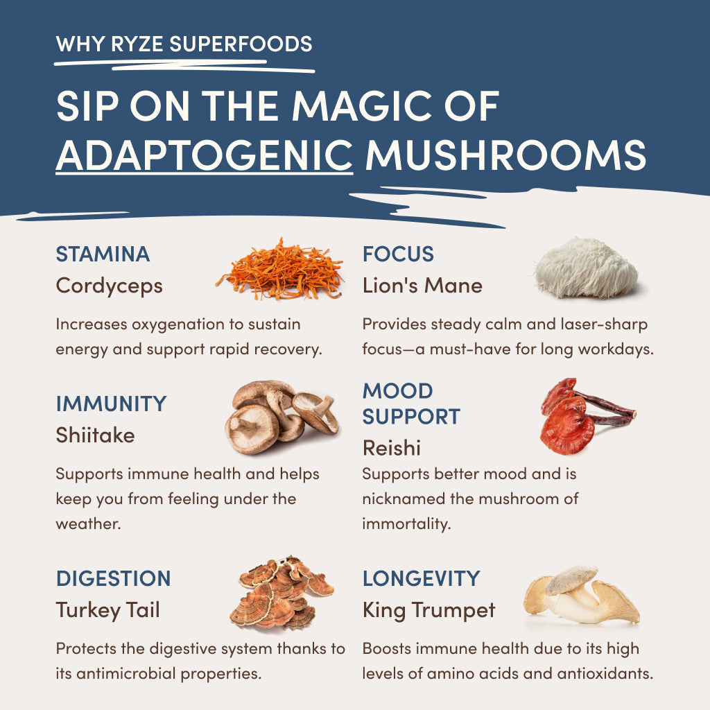 RYZE Nighttime Mushroom Cocoa Starter Bag - V5K0
