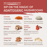 RYZE Mushroom Chai Starter Bag - LXRK