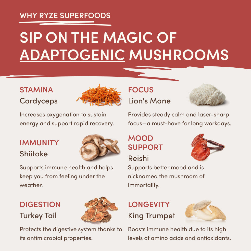 RYZE Mushroom Chai Starter Bag - LXRK