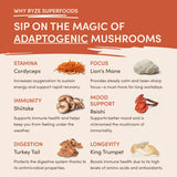 Mushroom Coffee (1 pack - 30 Servings) - HTXG