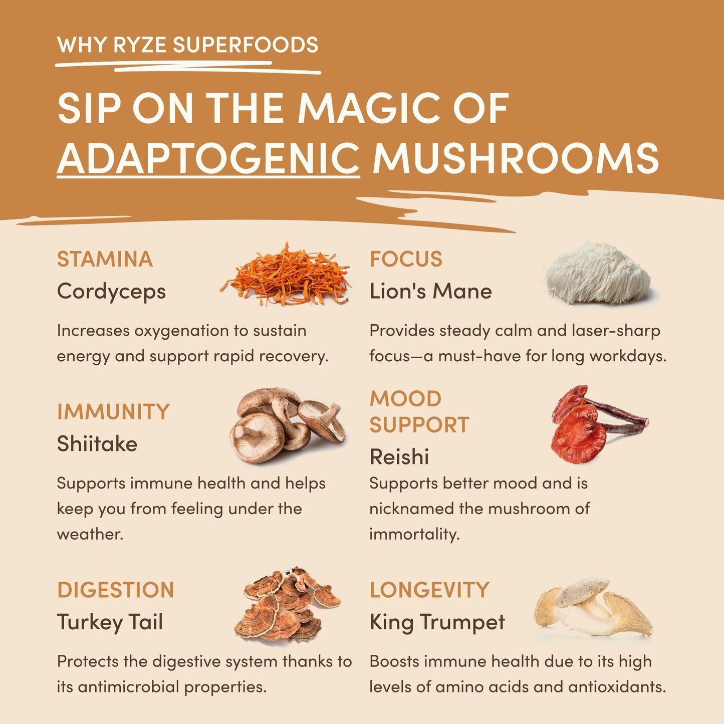 Mushroom Overnight Oats 14 Servings - 87UE