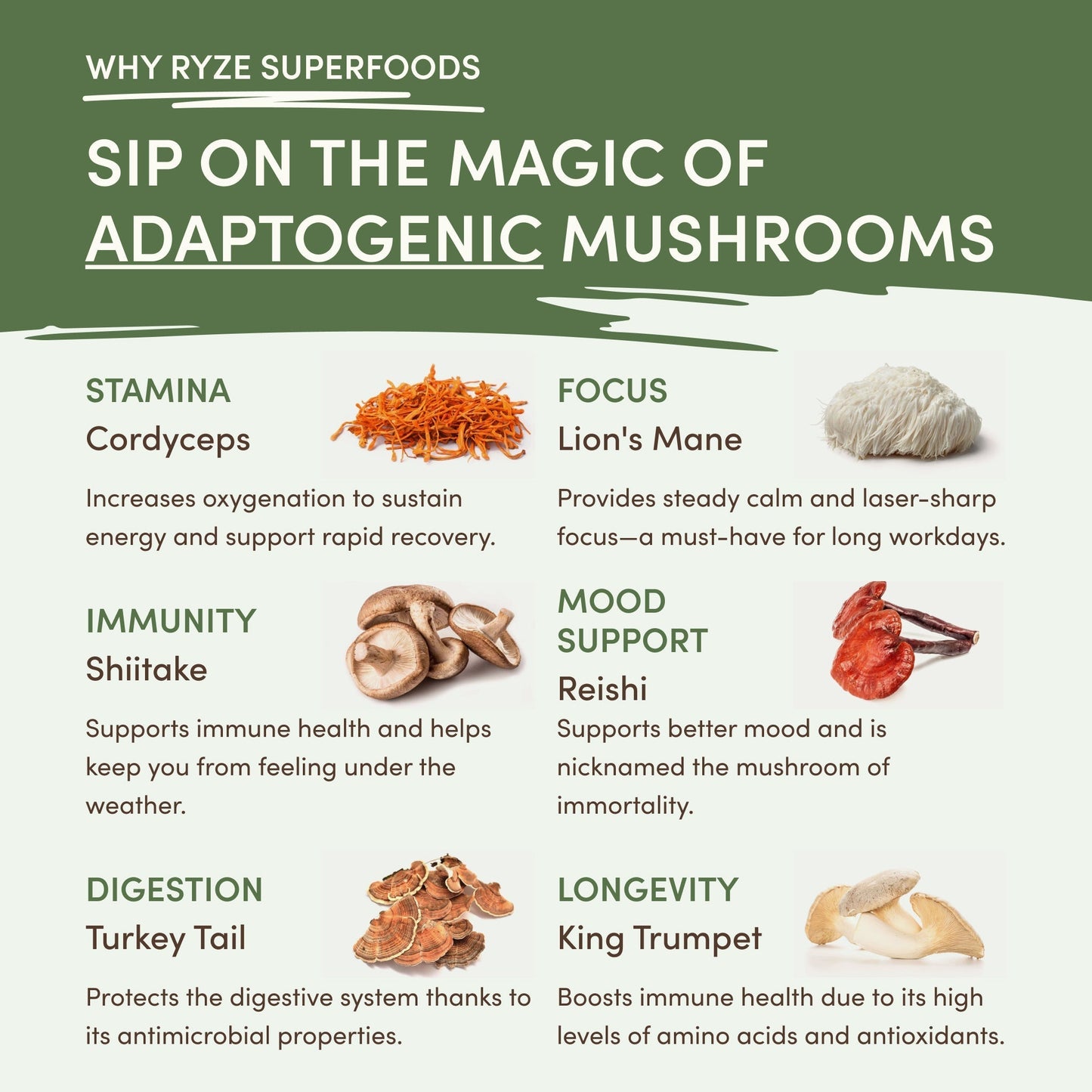 Mushroom Matcha (1 Pack - 30 Servings) - D925
