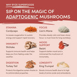 Mushroom Chai (1 Pack - 20 Servings) - NK26