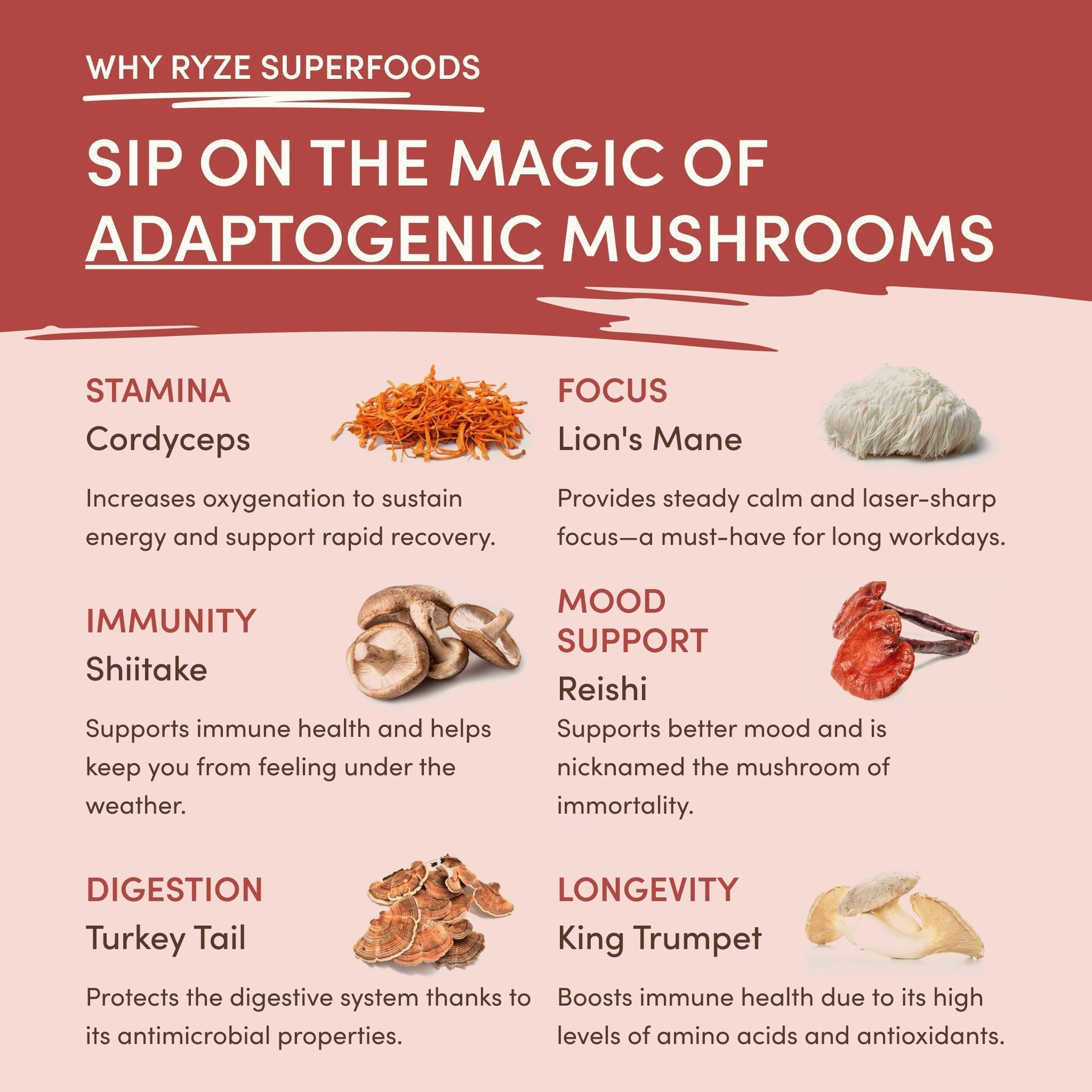 Mushroom Chai (1 Pack - 20 Servings) - NK26