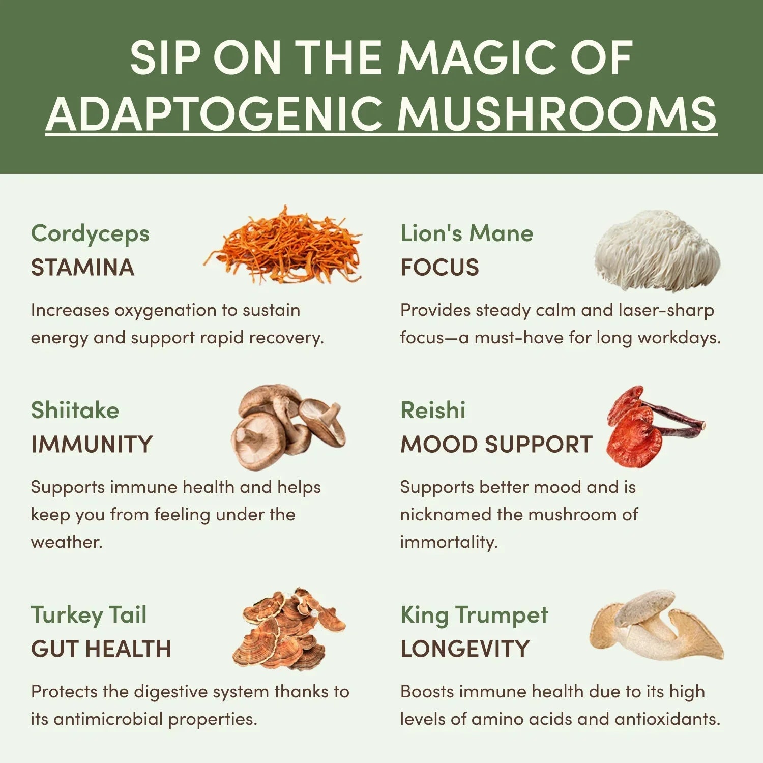 Mushroom Matcha (30 Servings) - JRQV