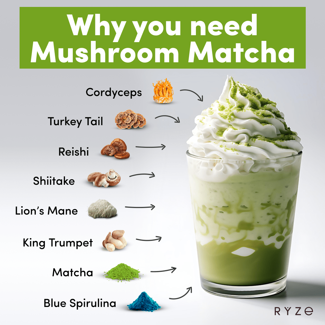 RYZE Mushroom Matcha - with 6 Organic Adaptogenic Mushrooms Grown In USA and Ceremonial-Grade Japanese Matcha - 58YQ