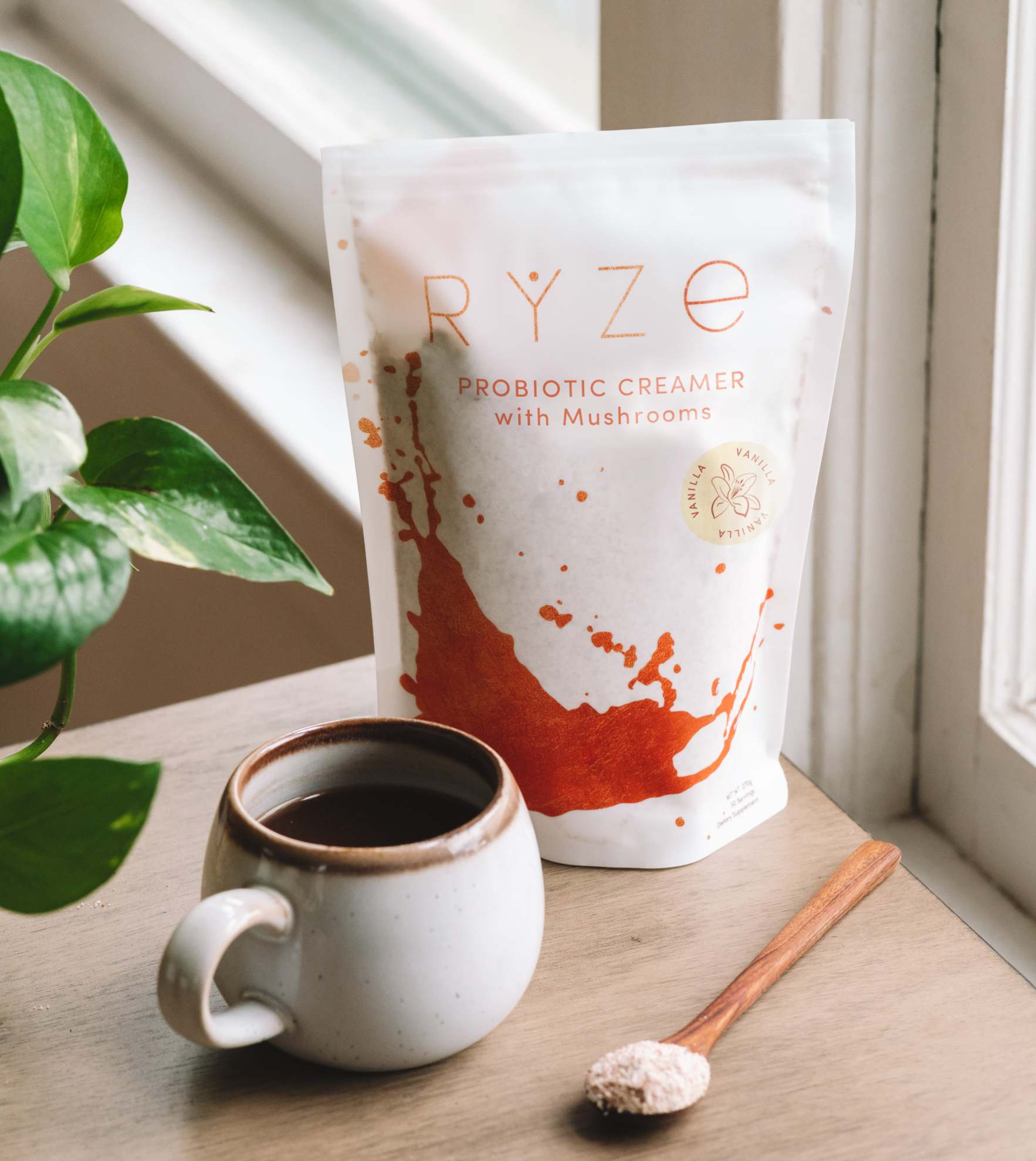 Try our Probiotic Creamer for 50% OFF! - 3NEW